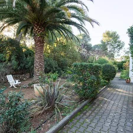 Les Pierreplane Apartment Bandol Exterior photo